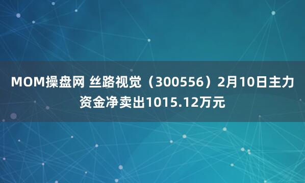 MOM操盘网 丝路视觉（300556）2月10日主力资金净卖出1015.12万元