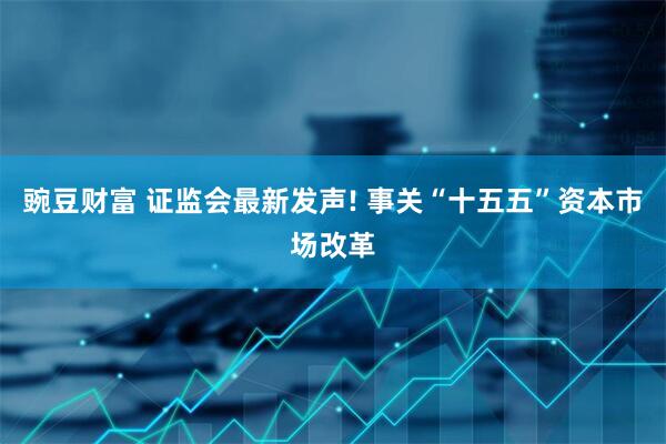 豌豆财富 证监会最新发声! 事关“十五五”资本市场改革