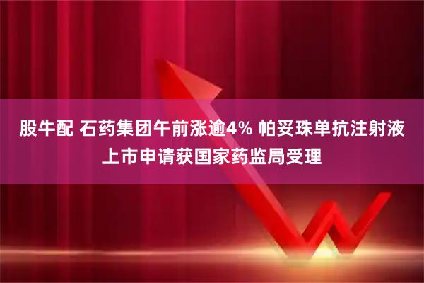股牛配 石药集团午前涨逾4% 帕妥珠单抗注射液上市申请获国家药监局受理